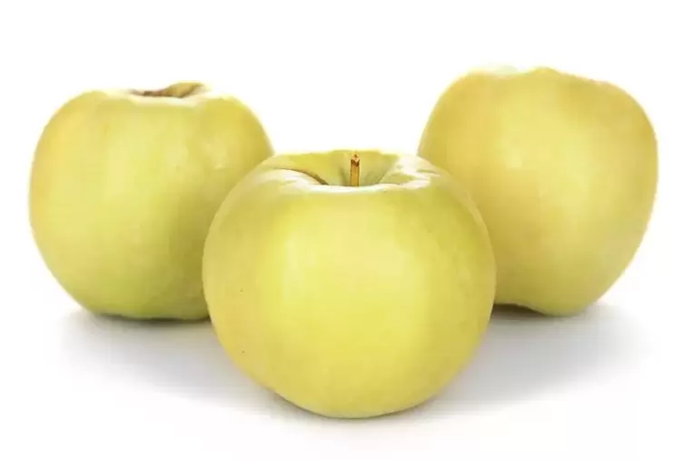 jabłka do leczenia żylaków