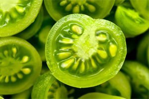 leczenie żylaków zielonymi pomidorami