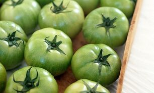 leczenie żylaków pomidorami